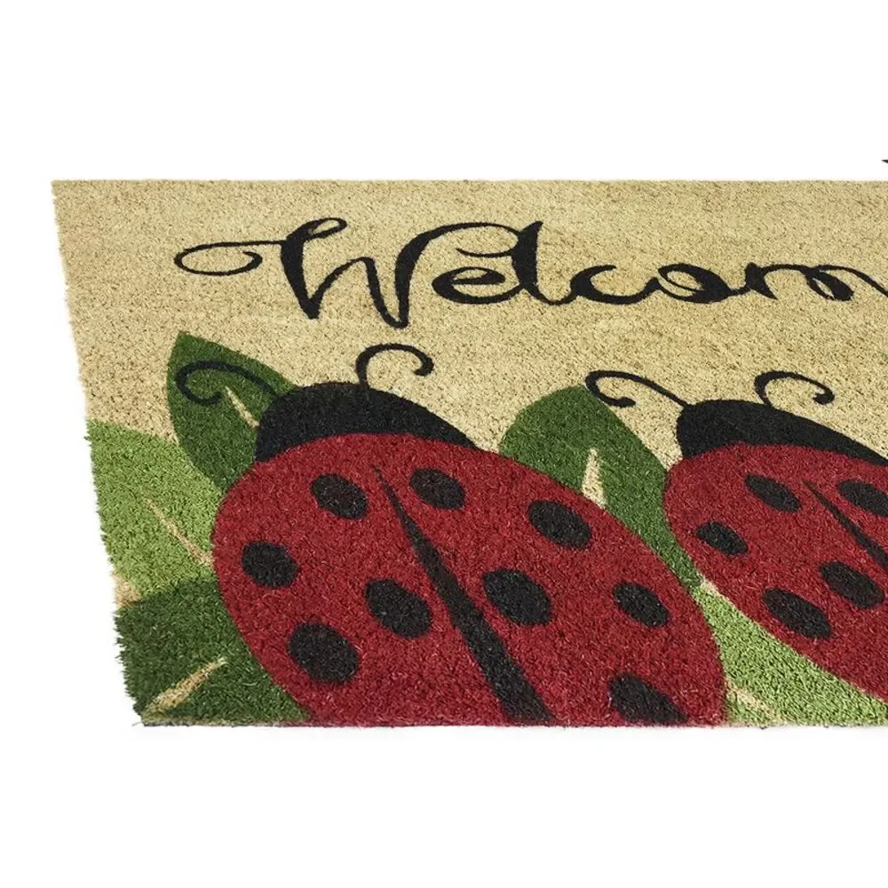 Decorative Printed Entrance Outdoor/Indoor Door Mat, Eco-Friendly 100% Natural